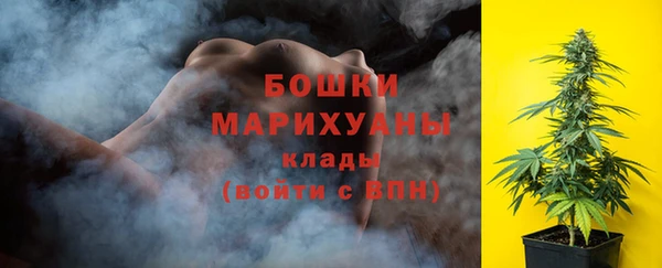 спайс Арсеньев