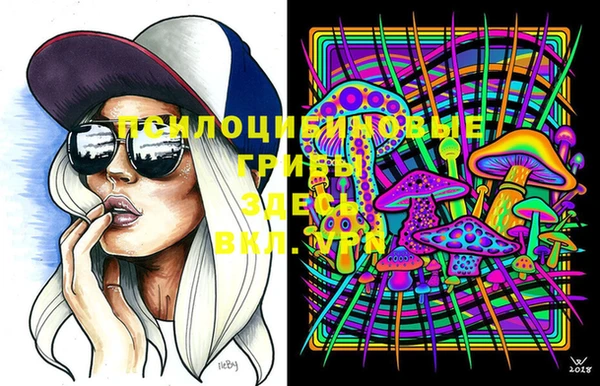 спайс Арсеньев