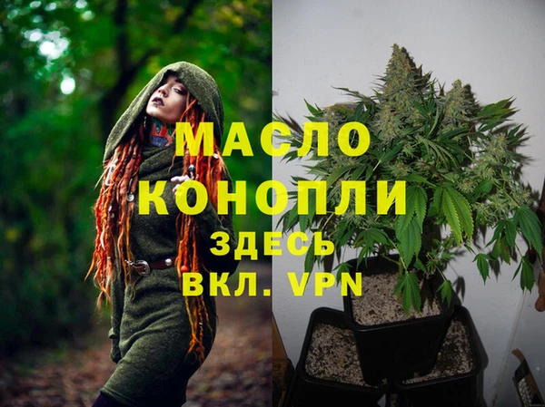 спайс Арсеньев