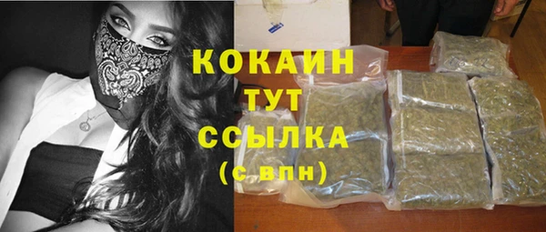 спайс Арсеньев