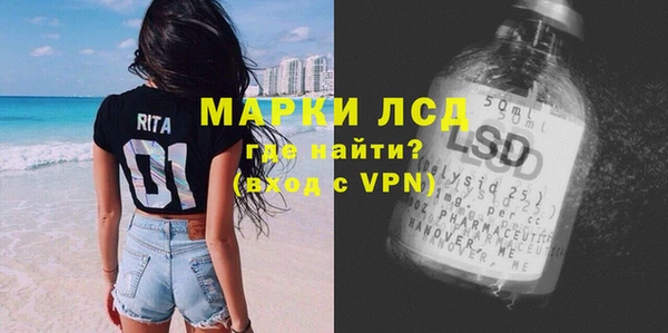 спайс Арсеньев